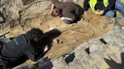 Скелети Брисел